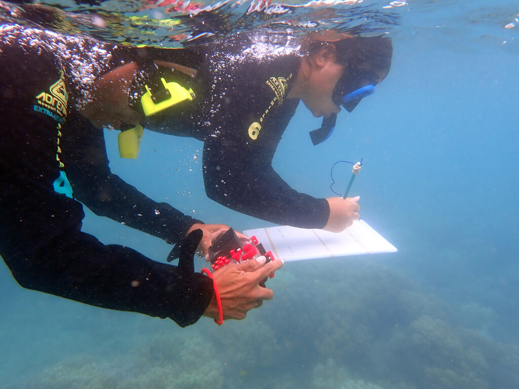 The involvement of First Nations traditional owners in this data collection process ensures their vital perspectives are integrated into reef management strategies