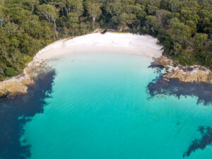 Blenheim beach boasts white sand and kelp forests